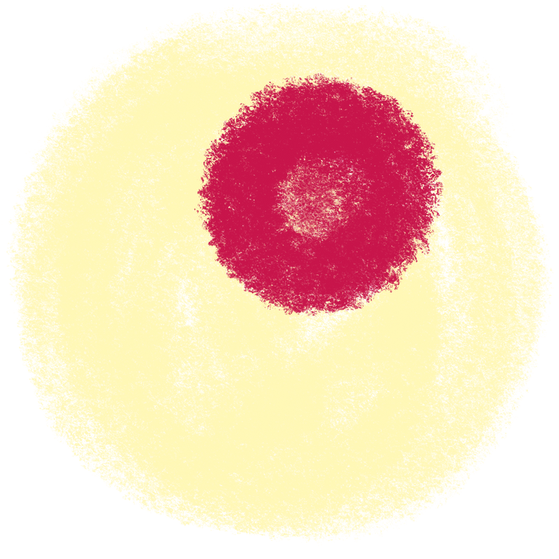Vanille + Cerise